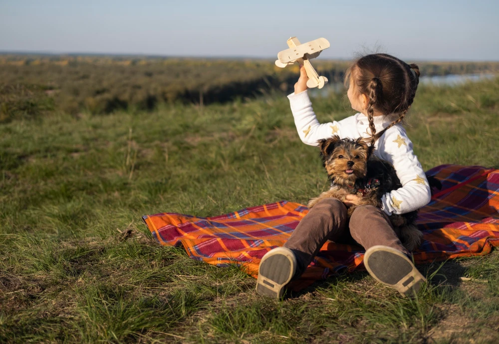 tipi glamping