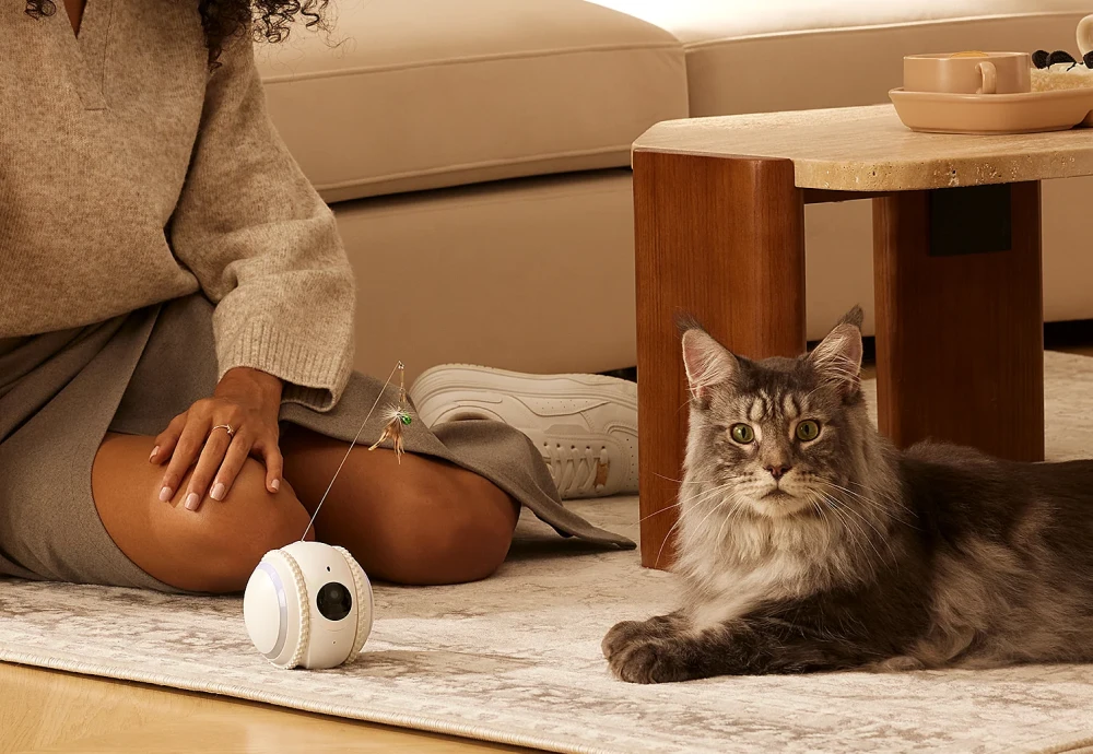 best indoor pet monitoring camera