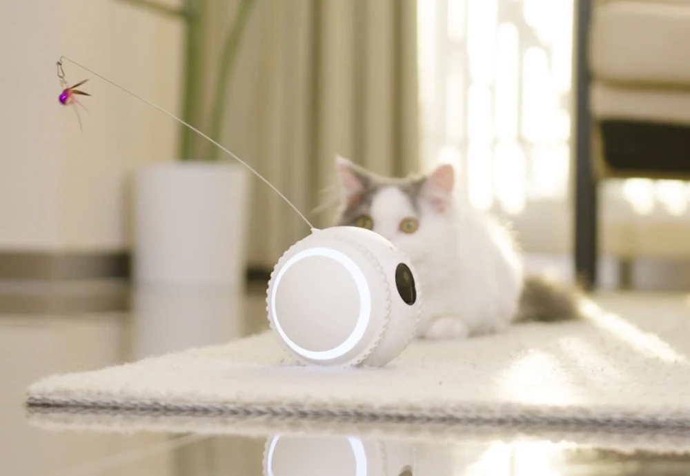 pet robot camera