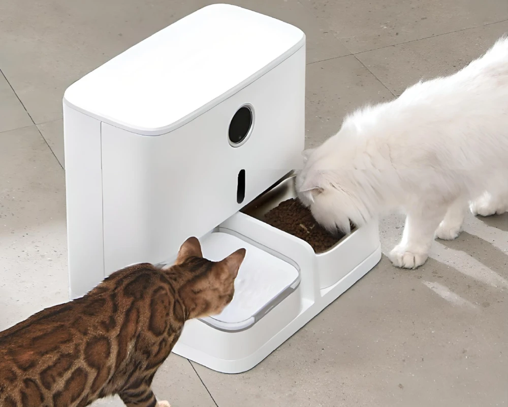 pet smart automatic pet feeder