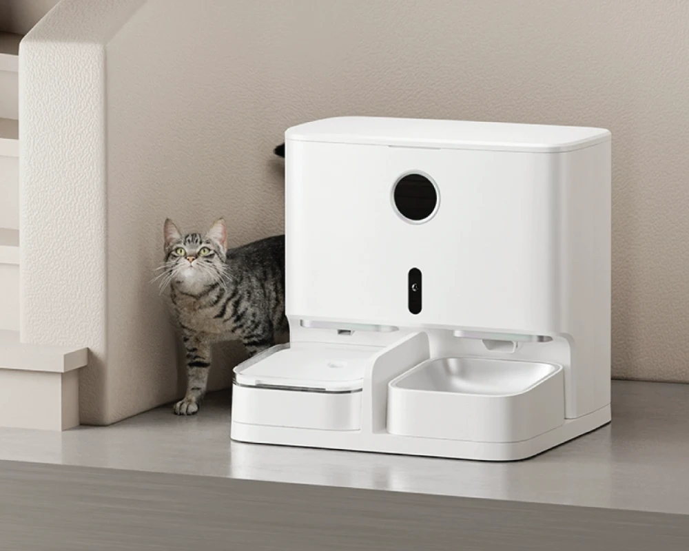 automatic pet feeder and water